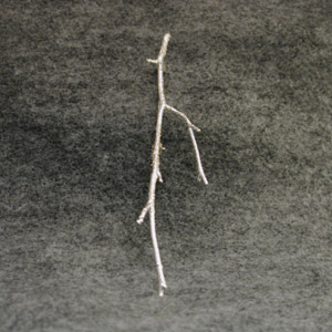 branch